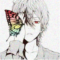 读者白露读者的头像